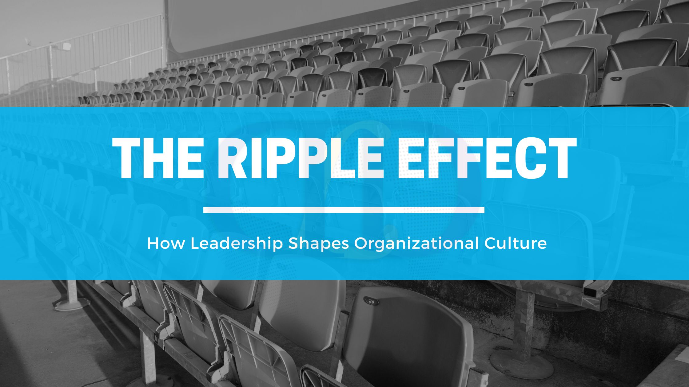 The Ripple Effect: How Leadership Shapes Organizational Culture